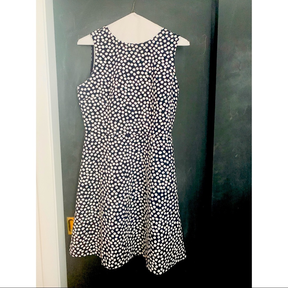 Polka Dot Skater Dress